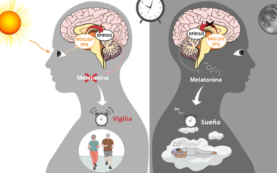 La Luz y la Oscuridad
