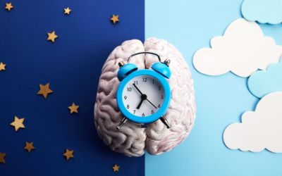 La Melatonina Guardiana del Ritmo Circadiano y la Salud