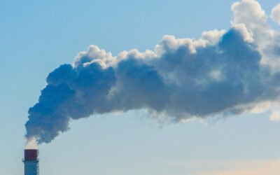 Tóxicos en Tu Comida