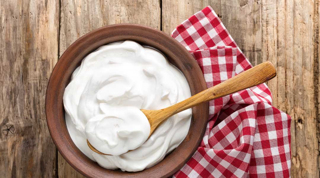 Beneficios Médicos del Yogur Casero Beneficios Médicos del Yogur Casero