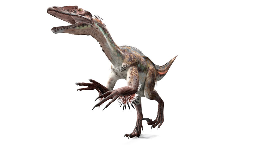 Gestionar las emociones es la clave para salir de modo dinosaurio Gestionar las emociones es la clave para salir de modo dinosaurio