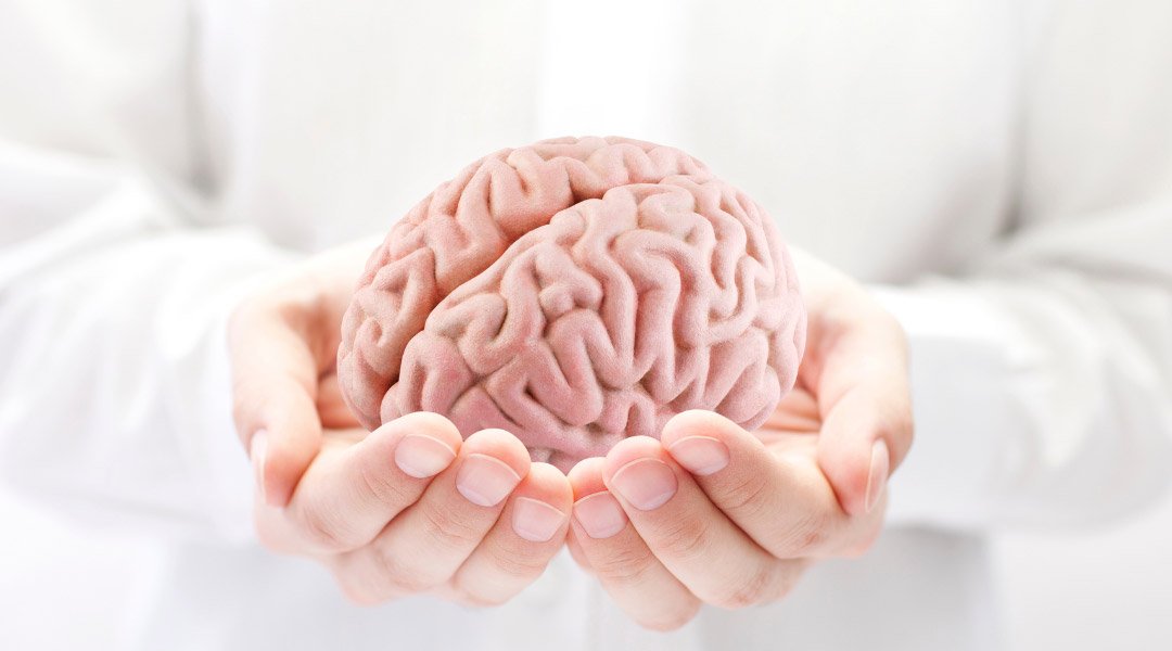 La Integración de Nuestros Tres Cerebros La Integración de Nuestros Tres Cerebros