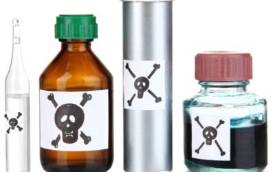 El Camino hacia una Alimentación Consciente