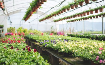 Las toxinas ocultas de las plantas: lo que nadie te cuenta